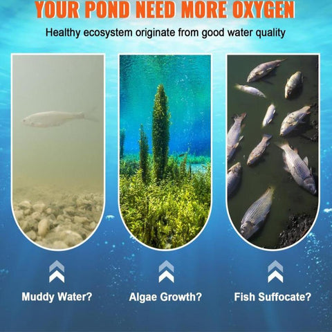 Pond Aerator, 550W Power, 5.2CFM for Up to 3 Acre 50' Lake, Pond Aeration Kit Includes 3/4 HP Compressor & Timer & Valves, Air Compressor for Deep Water Oxygen Circulation, for Pond, Lake