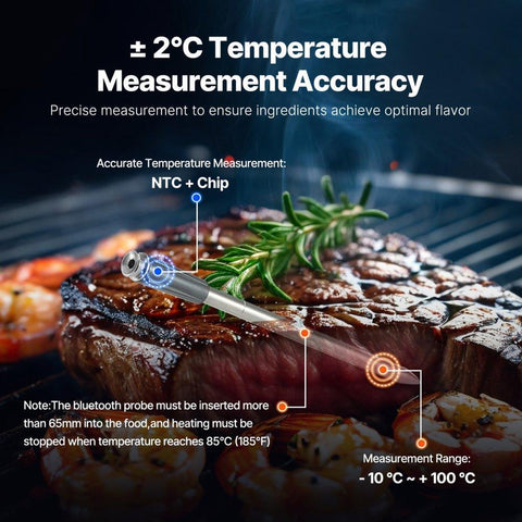 Wireless Meat Thermometer Bluetooth Meat Probe 500 ft Range for Cooking