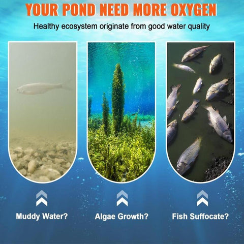 Pond Aerator, 550W Power, 5.2CFM for Up to 3 Acre 50' Lake, Pond Aeration Kit Includes 3/4 HP Compressor & 2 100' Weighted Tubings & 2 Diffusers, Air Compressor for Deep Water Oxygen Circulation