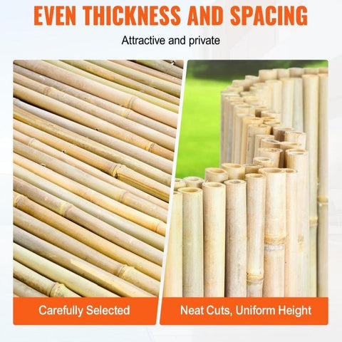 Natural Rolled Bamboo Fence Bamboo Panel 6 ft H x 8 ft L x 0.75 in D.