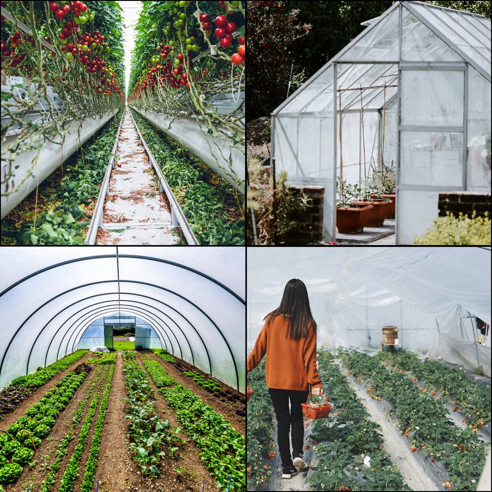 Greenhouse Film 16 x 25 ft, Greenhouse Polyethylene Film 6 Mil Thickness, Greenhouse Plastic Clear Plastic Film UV Resistant, Polyethylene Film Keep Warming, Superior Strength Toughness
