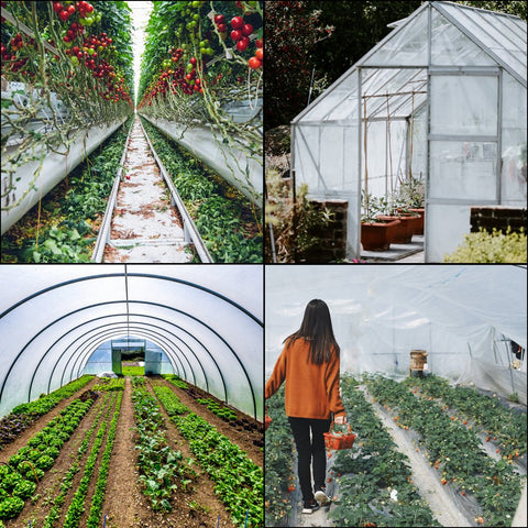 Greenhouse Film 16 x 25 ft, Greenhouse Polyethylene Film 6 Mil Thickness, Greenhouse Plastic Clear Plastic Film UV Resistant, Polyethylene Film Keep Warming, Superior Strength Toughness
